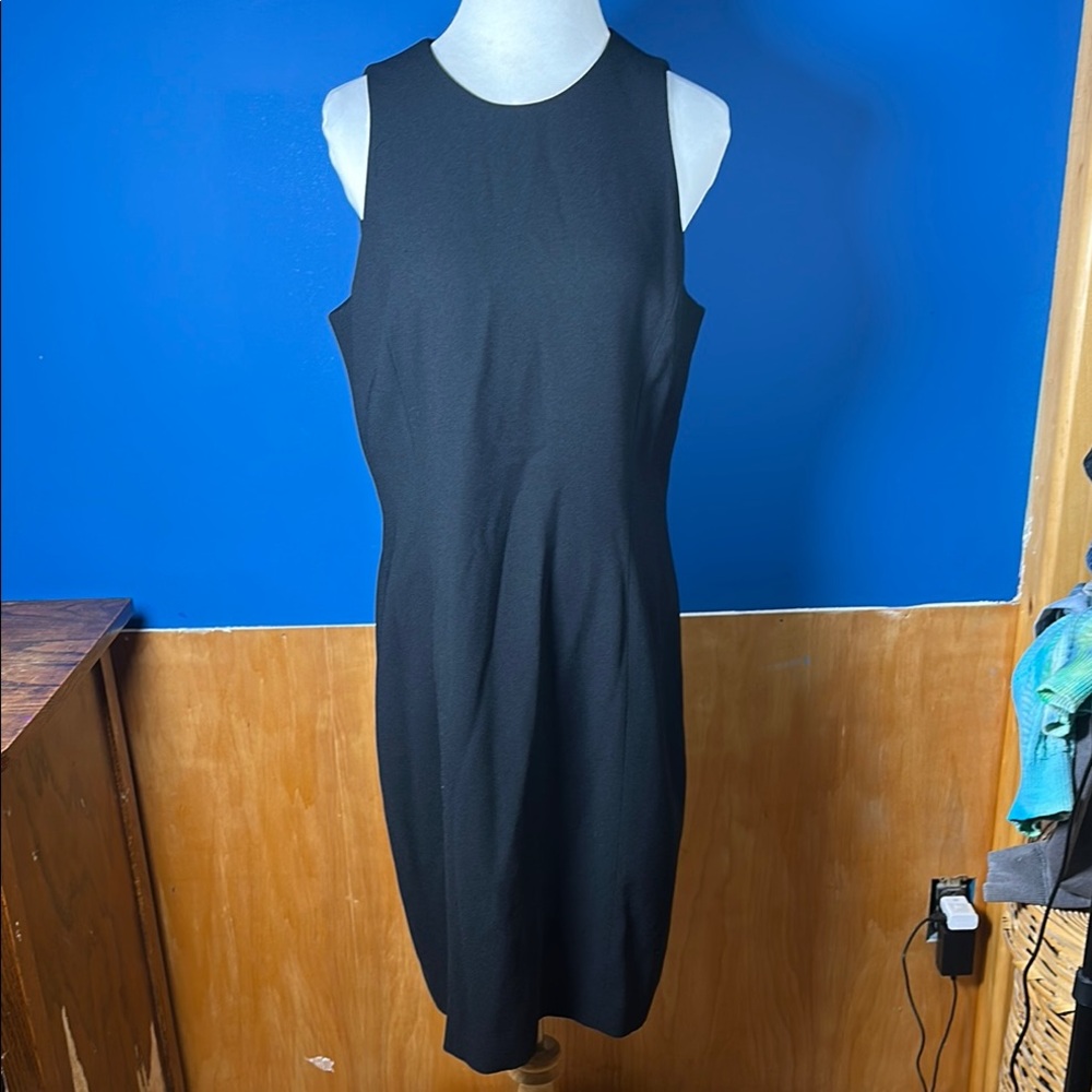 Elegant Black Sleeveless Dress